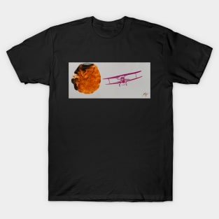 Flying Past an Anomaly -2 T-Shirt